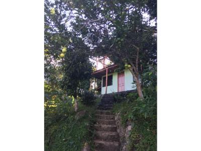 Casa con Jardin y Vista en San Roque de Cumbaza, 2 habitaciones